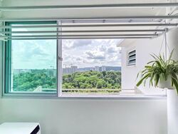 Blk 450B West Terra @ Bukit Batok (Bukit Batok), HDB 4 Rooms #581120141